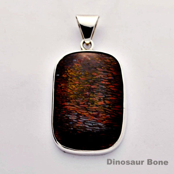 Dinosaur Bone one of a kind